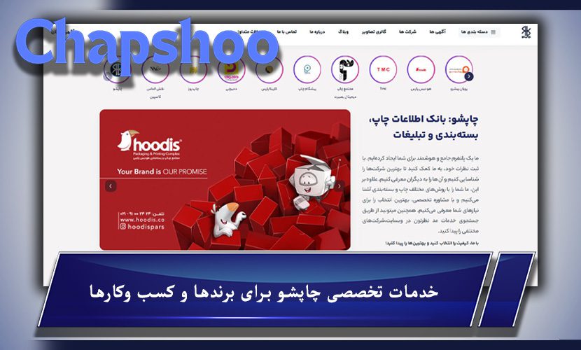 خدمات تخصصی چاپشو برای برندها و کسب وکارها